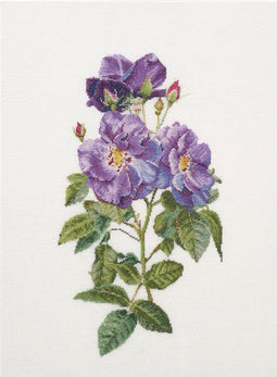 Thea Gouverneur - Borduurpakket met telpatroon - 413 - Voorgesorteerde DMC Garens - Blauwe Rozen Rapsodie - Linnen - 44 cm x 32 cm - DIY Kit