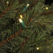Black Box Kunstkerstboom Toronto - 230x155 cm - 320 LED Warmwit