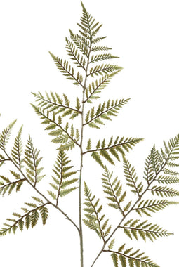 PTMD Leaves Plant Varen Kunsttak - 55 x 39 x 97 cm - Groen