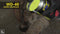 WD-40 Specialist® - Super Kruipolie - 100 ml - Smeert en maakt los