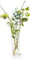 Conische vaas glas Everest