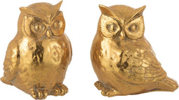 J-Line Uil Poly Goud Small Assortiment Van 2