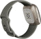 Fitbit Sense - Smartwatch - Stressmeting en huidtemperatuursensor - Grijs