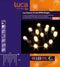 Luca Lighting - Connect 24 icicle warm wit 98 led extra - l200xh100cm - Woonaccessoires en seizoensgebondendecoratie (Europese stekker )