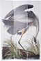 Kamerscherm DKD Home Decor Canvas Pijnboom (120 x 2,5 x 180 cm)