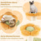 Coast Bloem Kattenboom - Kleine Krabpaal met Pluche Zitplek 40 x 40 x 69 cm - Geel