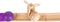 small foot - Marble Run Junior Playground