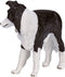 Mojo Farmland Border Collie - 387203