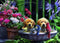 Puzzel King Puppies Drinking Water - 1000 Stuks - 68 x 49 cm - Sinterklaas Cadeau - Kerst Cadeau