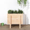 vidaXL - Plantenbak - 62x50x57 - cm - massief - grenenhout