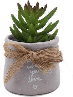 Decoratieve plant Versa Keramisch Plastic 5,59 x 8,89 x 5,59 cm