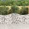 vidaXL - Schanskorven - 8 - st - gewelfd - 200x50x80/100 - cm - gegalvaniseerd - ijzer