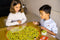 Nathan Mission animaux Bordspel Fine motor skill (dexterity)