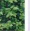 vidaXL - Tuinschermen - 4 - st - 35x0,19 - m - PVC - wit