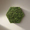 Hexagon wandtegel | Moswand | Groen | Zelfklevend | ↑21CM - 24CM