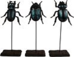 Abbey Set van 3 - Kever - Zwart - 21 x 9.5 x 6.5 cm