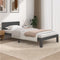 vidaXL - Bedframe - massief - grenenhout - grijs - 100x200 - cm