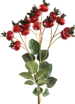 PTMD Berry Plant Rozen Kunsttak - 24 x 15 x 58 cm - Rood