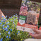 Pokon Bio Voedingskegels - Terras- & Balkonplanten - 120 dagen voeding - 15 stuks