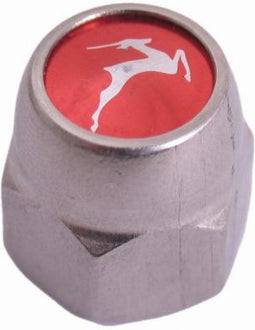 Achteras siermoer Gazelle remnaaf 3/8" x 24g - 21 mm RVS