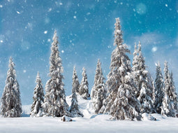 Achtergrond besneeuwde dennenbomen 78x58 cm