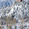 Achtergrond Doek Colorado - My Village