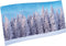 Achtergrond Doek Sneeuwbos - My Village