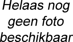 Achterwiel Rodi 28 inch / 622x19 - Skorpion - 36 gaats FM32 - 8/9 speed naaf + QR - zilver