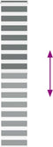 vidaXL - Zebra - rolgordijn - 40x200 - cm - stofbreedte - 35,9 - cm - donkergrijs