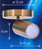 Activejet SPECTRA single gold ceiling wall lamp GU10 for living room
