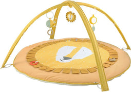 Activiteiten speelmat met bogen - Mr. Lion