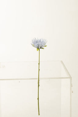 J-Line Chrysant Mini Plastiek Licht Blauw - 24 stuks