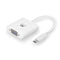 Adapter USB-C naar VGA Ewent EC1050