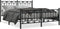vidaXL - Bedframe - met - voetbord - zonder - matras - metaal - zwart - 160x200 - cm