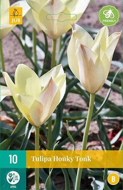 JUB - Tulipa Honky Tonk, 8 bloembollen