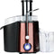 Adler AD 4129 - Juice Extractor - Slowjuicer - 1000 Watt