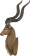 J-Line wanddecoratie Antilope Kop - polyresin - bruin