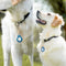 AdroitGoods Hoes Voor Apple AirTag Met Staalkabel - Blauw - Airtag-sleutelhanger - Houder - Hanger - Case