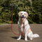 AdroitGoods Hondenriem – 200 cm - Hondenlijn - Looplijn - Reflecterend - Rood - Lange lijn hond