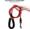 AdroitGoods Hondenriem – 200 cm - Hondenlijn - Looplijn - Reflecterend - Rood - Lange lijn hond