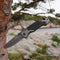 AdroitGoods Survival Zakmes - Nova X45 - Survival mes - Jachtmes - Staal en Carbon Fiber - Camping