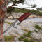 AdroitGoods Survival Zakmes - Nova X48 - Survival mes - Jachtmes - Staal en Eikenhout - Camping
