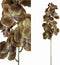 PTMD Orchidee Kunstbloem - 78 x 17 x 79 cm - Kunststof - Bruin