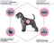 Advance - Veterinary Atopic No Grain Derma Hondenvoer