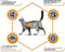 Advance - Veterinary Diet Cat Weight Balance Kattenvoer
