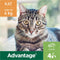 Advantage 40 Tegen Vlooien - <4kg - 4 x 0,4 ml - Adult