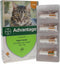 Advantage 40 Tegen Vlooien - <4kg - 4 x 0,4 ml - Adult