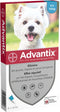 ADVANTIX 6 antiparasitaire pipetten - Voor kleine honden van 4 tot 10 kg