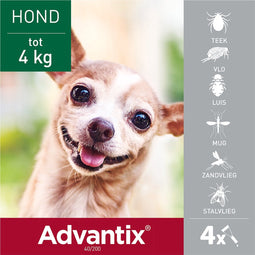 Advantix Spot On 40 Anti Vlooien en Teken Druppels Hond tot 4 kg 4 pipetten