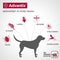 Advantix Spot On 40 Anti Vlooien en Teken Druppels Hond tot 4 kg 4 pipetten